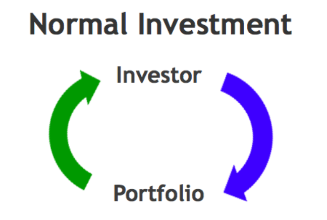 Normal investment: Direct loop between investor and portfolio